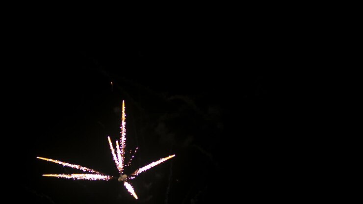 Fireworks At The Beginning Of The New Year In Black Night 8