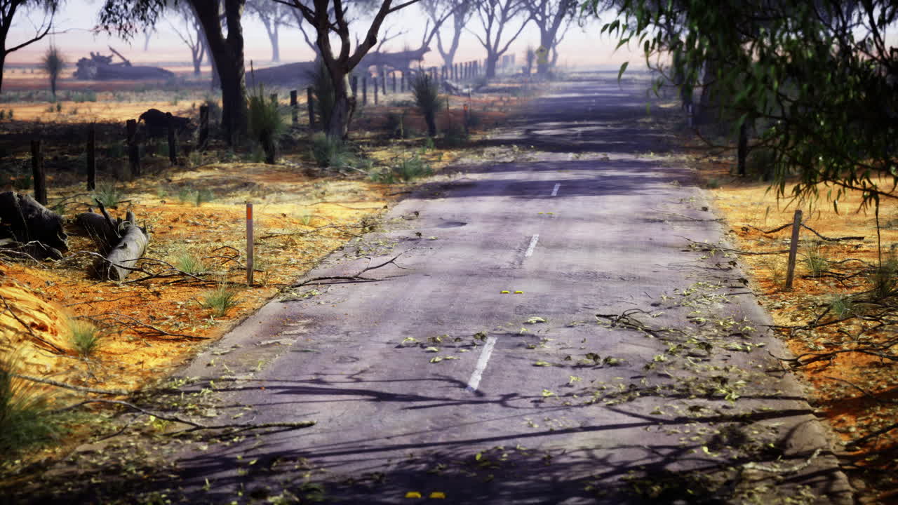 Road surrounded by trees and branches on a sunny day in a rural area