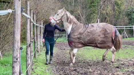 chica caminando caballo blanco fuera del paddock