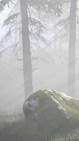 misty forest landscape with sun rays shining through trees and a mossy rock