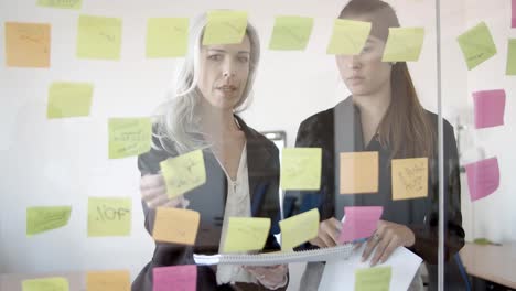 focused female business colleagues working on tasks