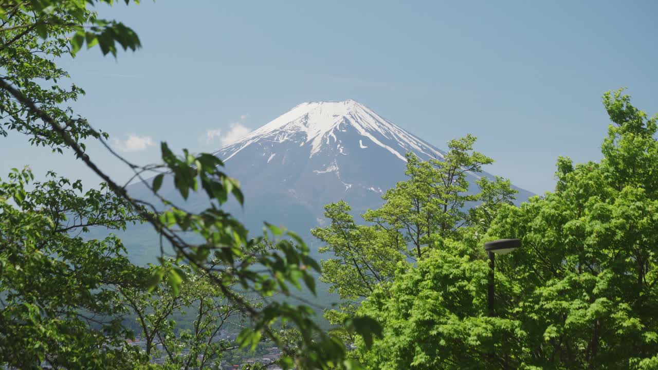 Fuji-bjergets hvide snedækkede top set gennem grønne træer på en klar dag med blå himmel i Fujiyoshida
