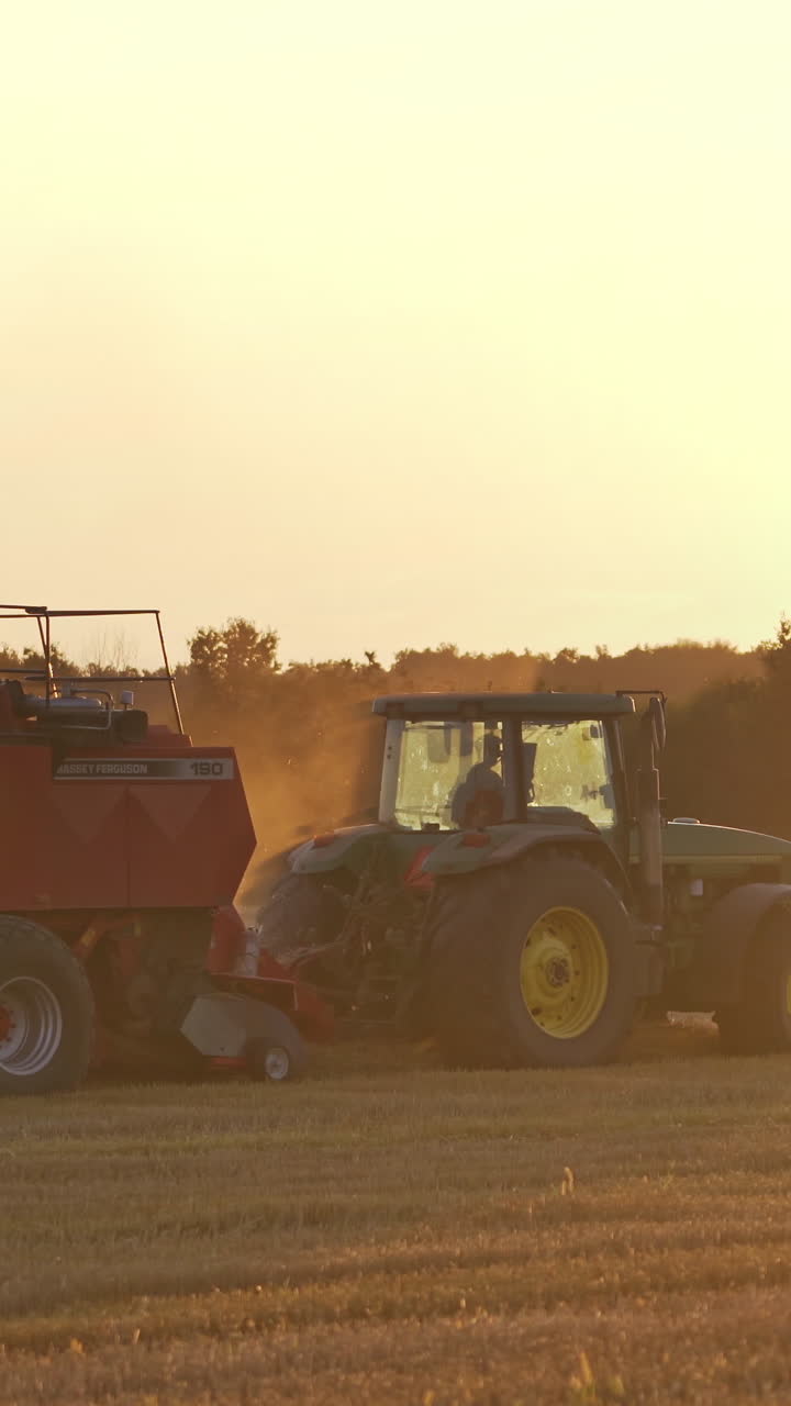 Baling haystack with a hay baler. Agricultural machinery on a chamfered golden field moves bales of hay after harvesting grain crops