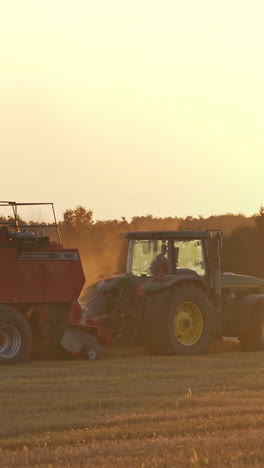 baling haystack with a hay baler. agricultural machinery on a chamfered golden field moves bales of hay after harvesting grain crops