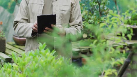 Midsection-of-african-american-male-gardener-using-tablet-at-garden-center