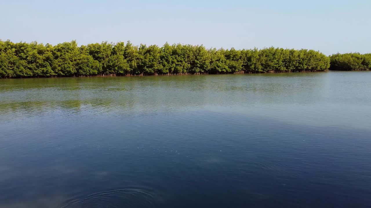 카르톤에서 감비아 강변의 파노라마 영화 오른쪽  ⁇  뷰와 배경에 망그로브 습지