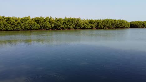 Panoramic-cinematic-right-pan-view-of-river-Gambia-riverbank-in-Kartong-with-mangrove-swamps-in-background