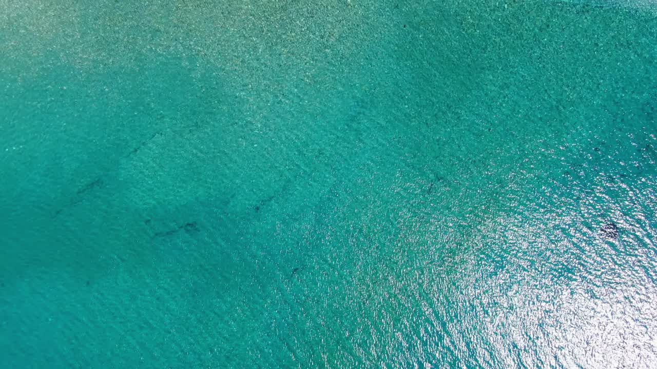 맑은 바닷물이 있는 해변의 하향식 공중 드론 샷