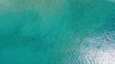 top-down aerial drone shot of a beach with clear seawater