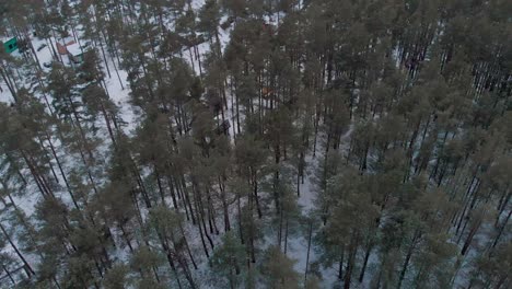 Paisaje-De-Bosque-Invernal-Cubierto-De-árboles-En-Letonia,-Establecimiento-Aéreo