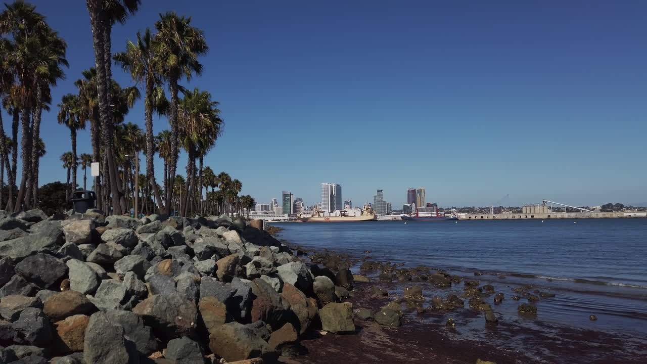 Scenic view of San Diego waterfront with palm trees, rocks, and skyscrapers under bright blue sky