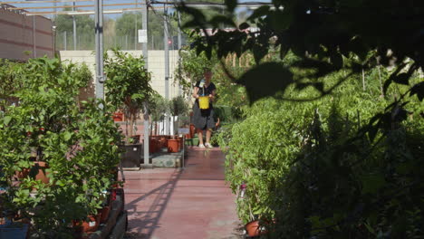 woman buying a plant in a flower shop