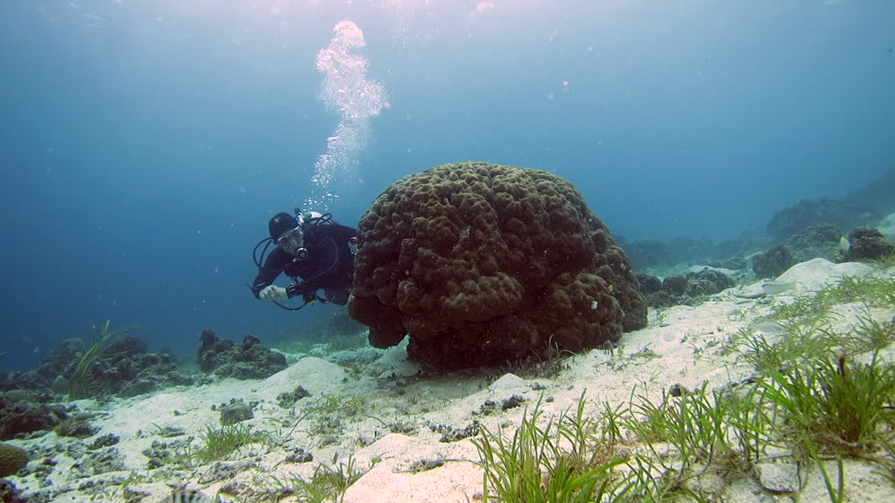 scuba diver saliendo detrás de corales duros en el fondo del mar de arena, bajo el agua