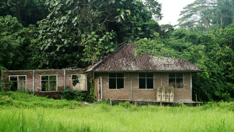 house in the jungle, rice field bali indonesia