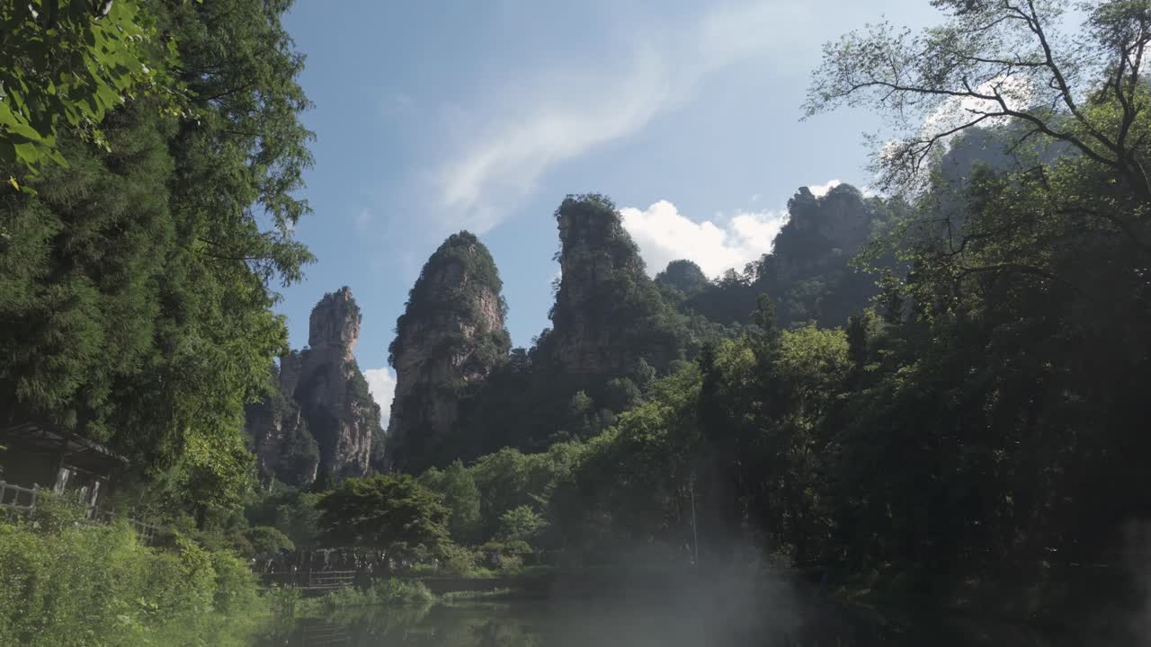 Cây xanh tươi tốt bao quanh những đỉnh núi đá vôi cao chót vót của Trương Gia Giới, tạo nên một khung cảnh thanh bình và đẹp như tranh vẽ.