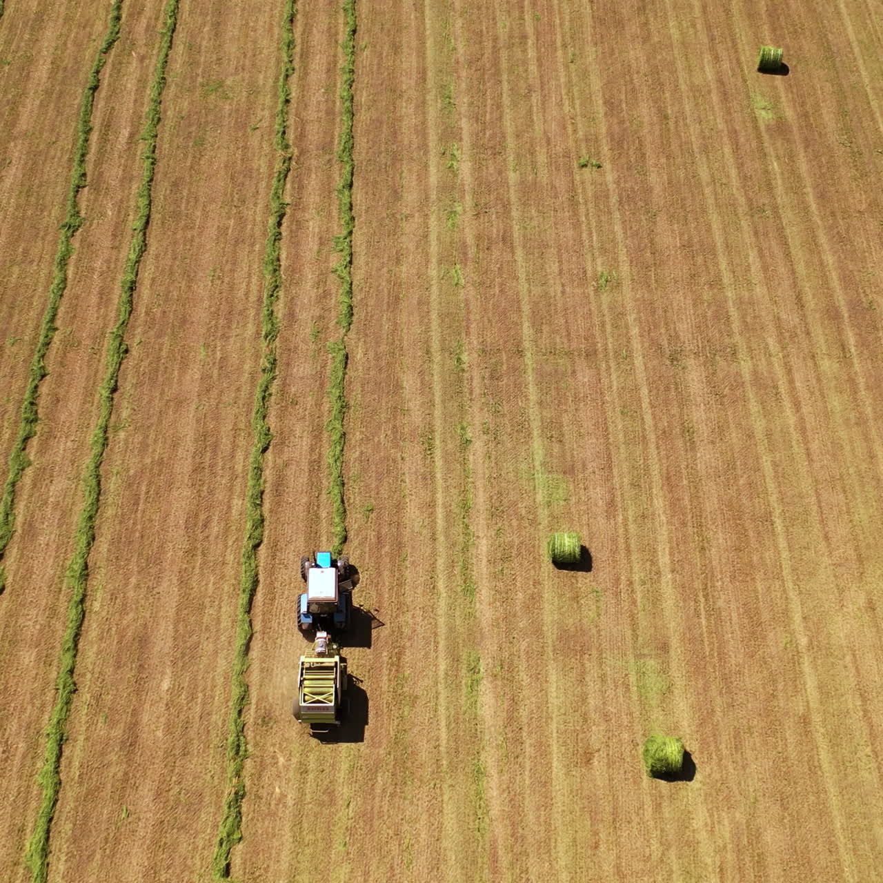 View from above on the field during seasonal works. Tractor gathering dry grass for livestock on the field background in summer. Aerial view.