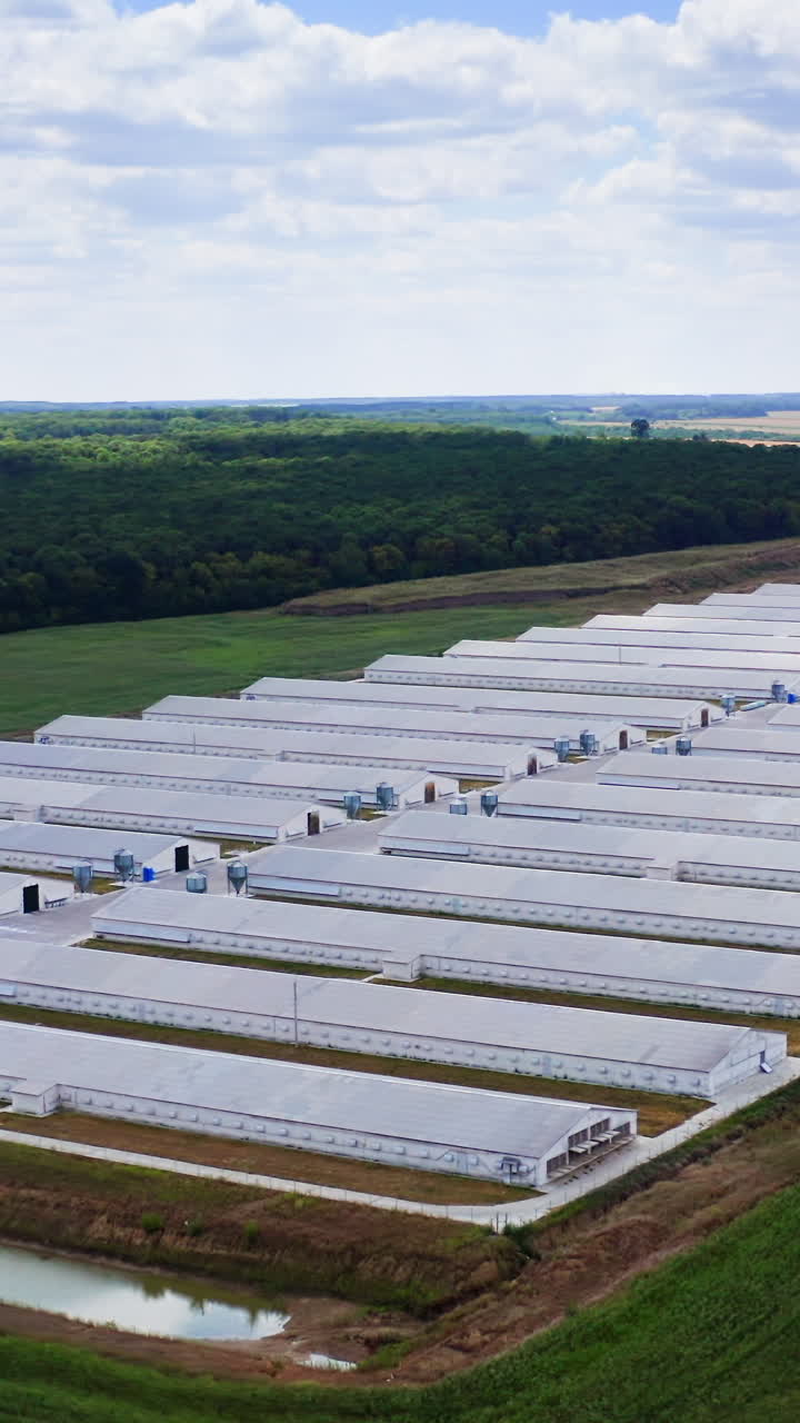 Aerial view of poultry farm. Modern farm poultry buildings. Agriculture Vertical video