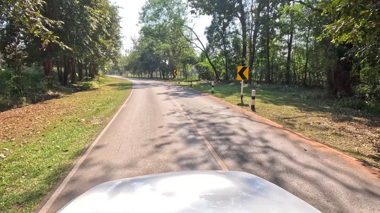 Car journey on a sunny, tree-lined rural road