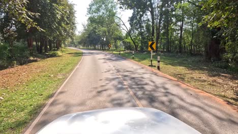 car journey on a sunny, tree-lined rural road