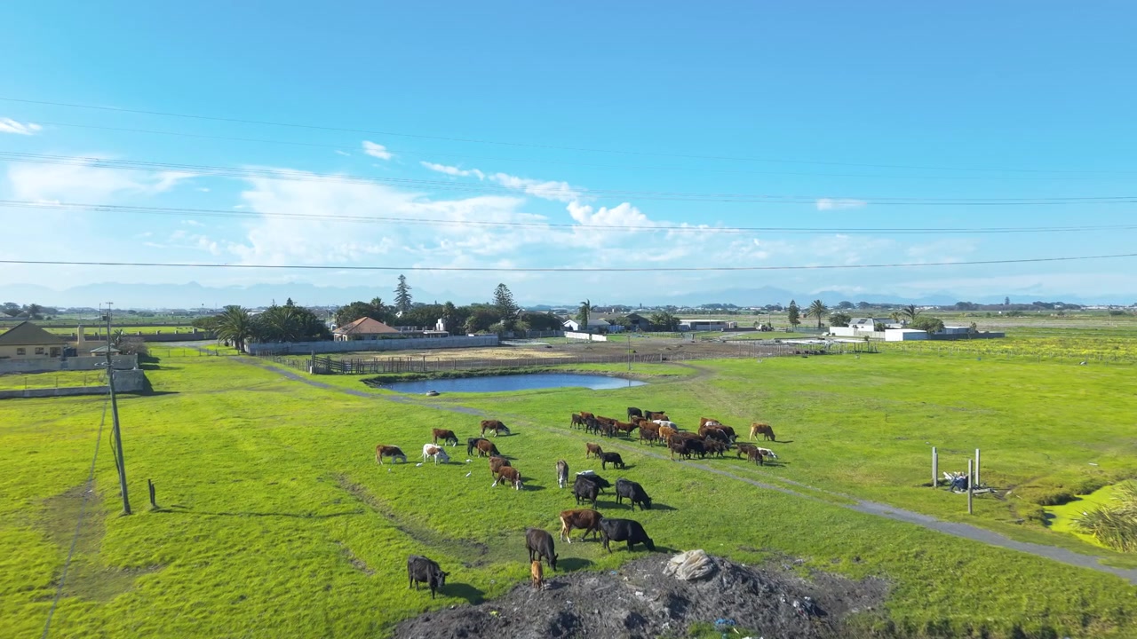Lahan pertanian di Cape Town, Afrika Selatan.