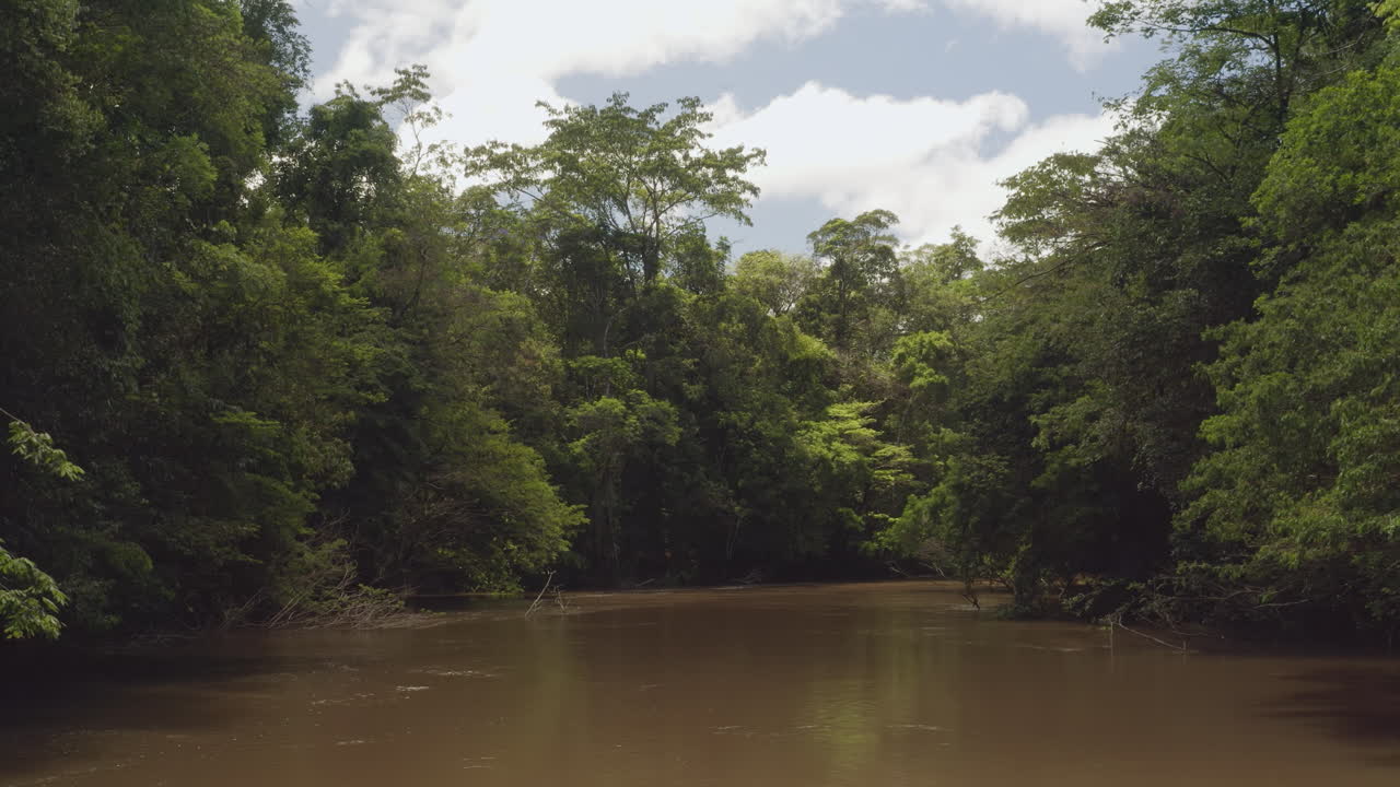 Slow drone flight over muddy Amazon river winding through dense rainforest. Peaceful, natural jungle scenery under bright daylight. Ideal for nature, exploration, and adventure themes.