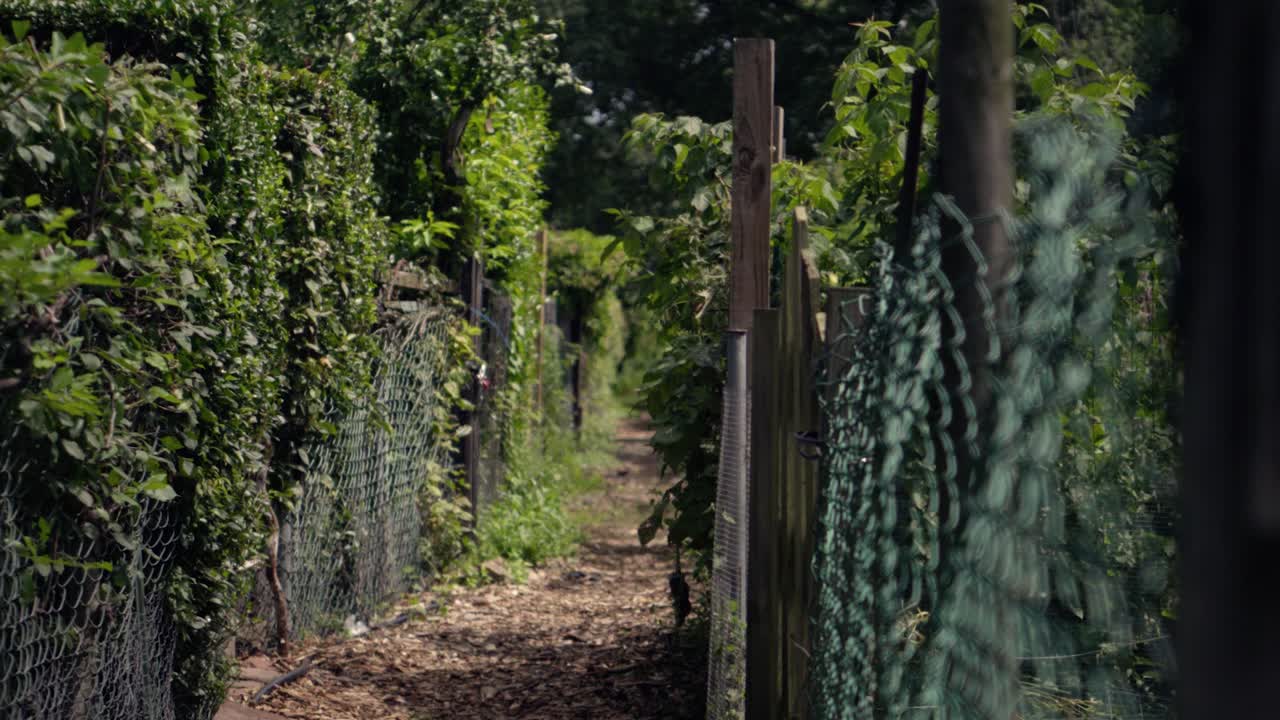 Walkway in the Fenway Public Gardens
