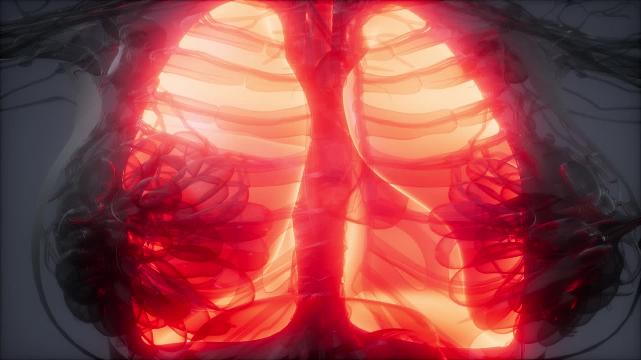 examen radiológico de los pulmones humanos