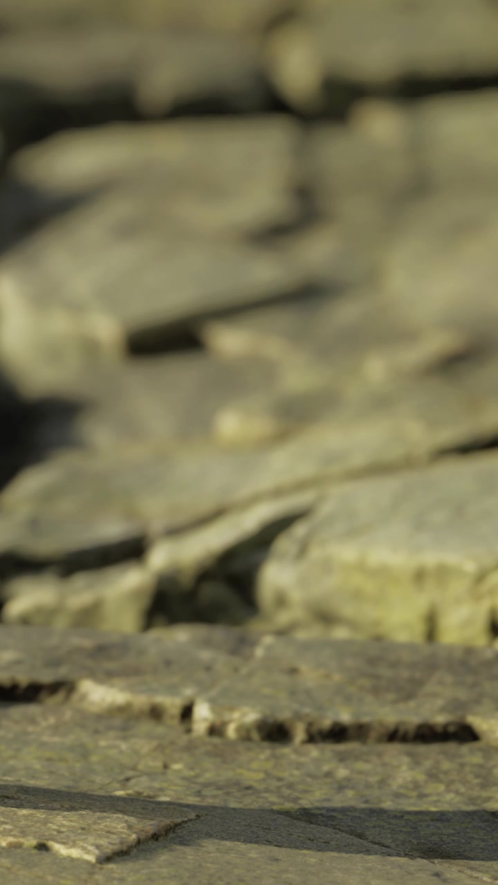 Rock formations near water during daytime in a natural setting with sun