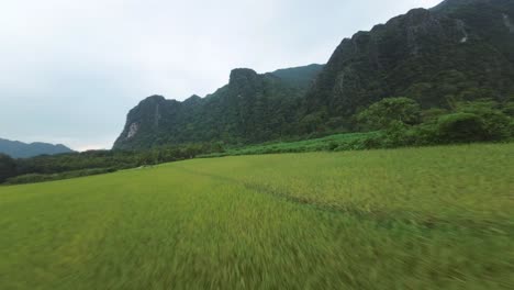 aerial view of blue lagoon, laos, showcasing misty mountains and green grassy plain fields under bright skies, framed by cliffs
