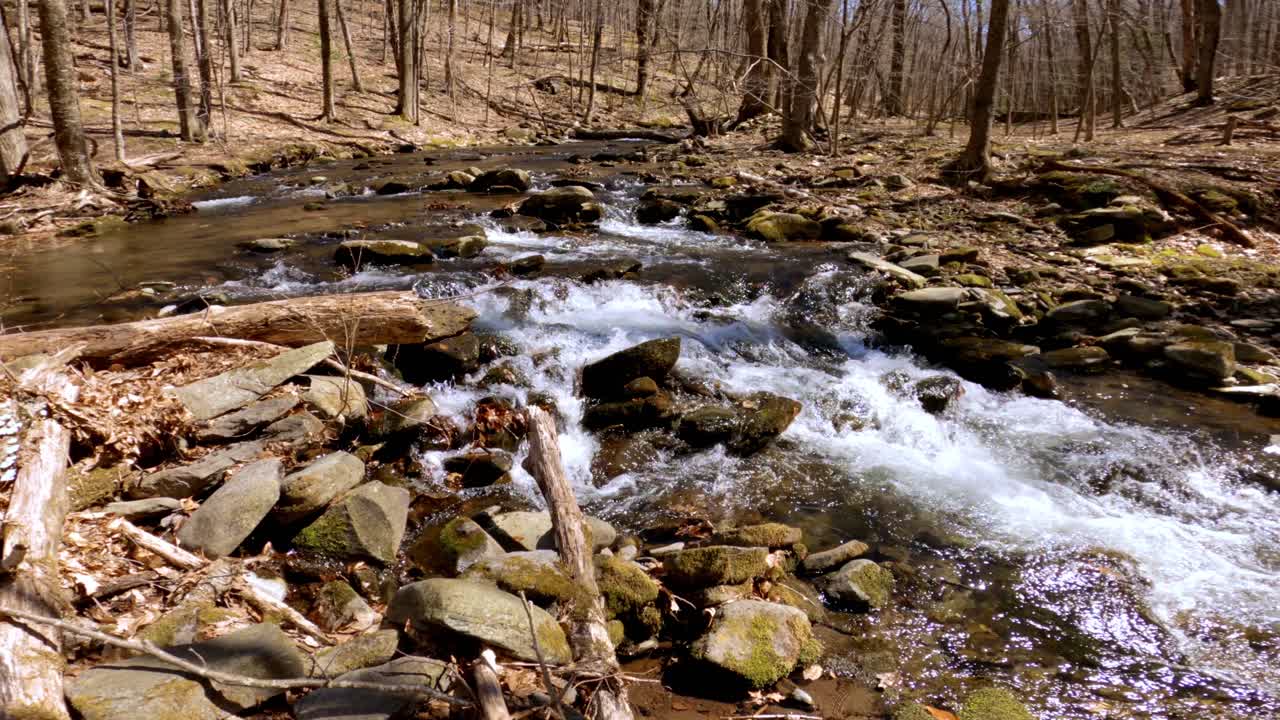  A beautiful, gentle mountain stream with a tiny waterfall during early spring, after snow melt, in the Appalachian mountains