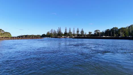 calm river with trees under clear blue sky