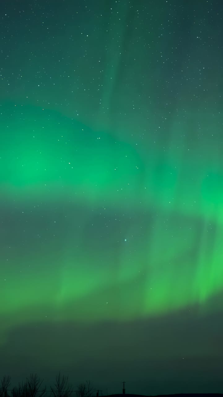 Vertical video: Swaying aurora sweeping night sky, solar wind fueling glow above trees, pole, stars