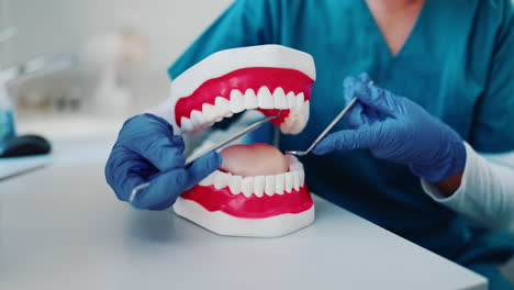 dental examination