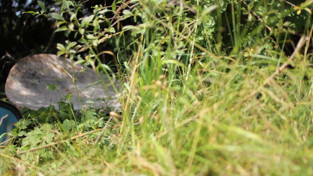 자연스러운 장소에서 쓰레기를 드러내는 여행