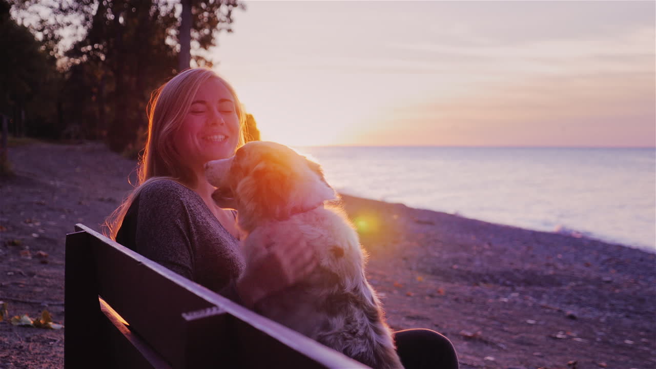 한 여성이 온타리오 호수 2의 아름다운 일몰을 배경으로 벤치에 앉아 있는 개와 함께 쉬고 있습니다.