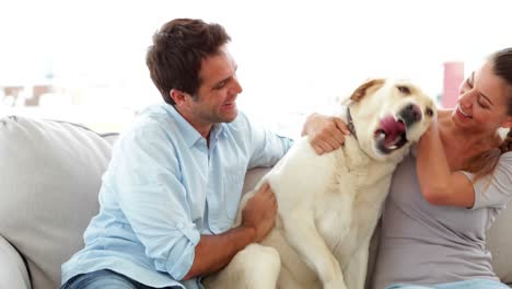 Linda-Pareja-Llamando-A-Su-Perro-Labrador-Al-Sofá