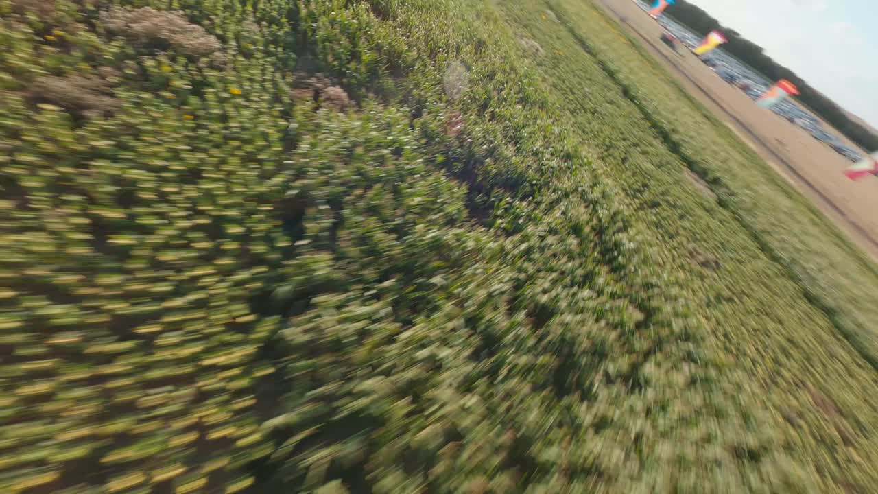 drone fpv disparado sobre el campo de girasoles