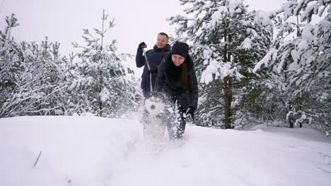 man and woman have fun walking with siberian husky in winter forest playing and throwing snow in slow motion