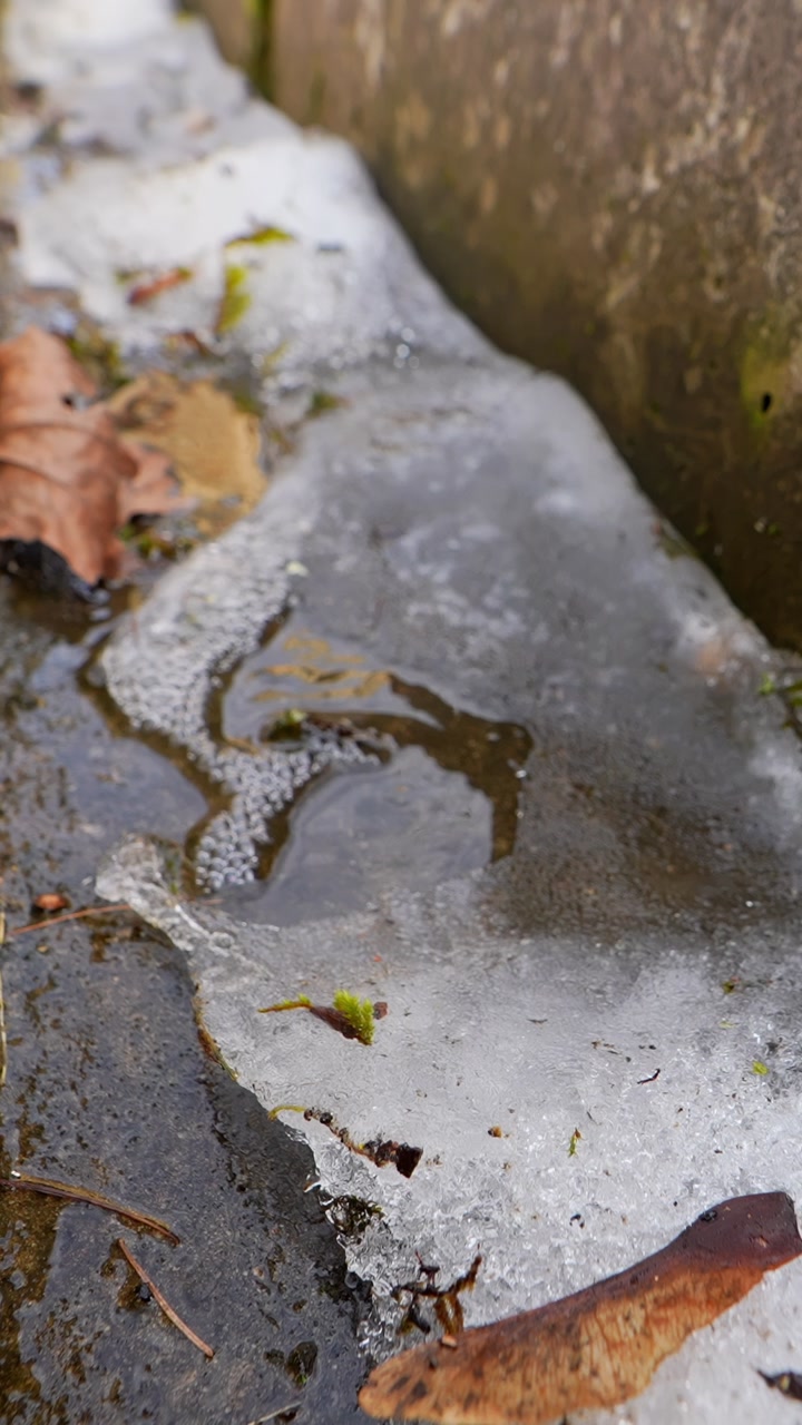 Close-up of thawing ice beside a stone edge, capturing frozen texture, meltwater patterns, and the quiet transition from winter frost to early spring.