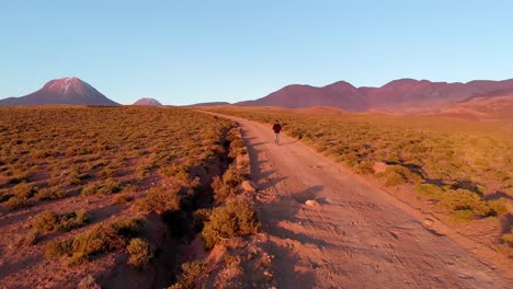 toma cinematográfica aérea de un viajero solitario en un camino de tierra al atardecer en el desierto de atacama, chile, sudamérica