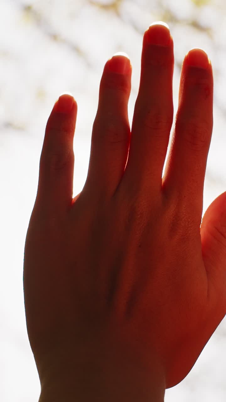 A Beautiful Interaction Between Two Hands in Silhouette, Capturing the Moment of Connection Under Bright Light, Emphasizing Emotions of Trust and Togetherness