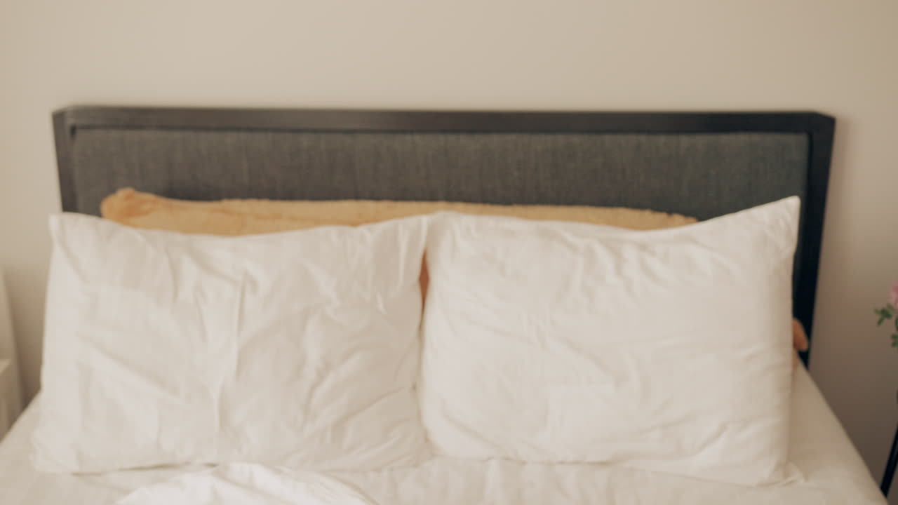 Wanita Muda Bangun Ketakutan dan Berteriak di Tempat Tidur