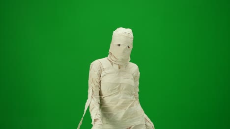 green screen isolated chroma key video capturing a mummy dancing and singing actively into the - green screen isolated chroma key video capturing a mummy dancing and singing actively into the microphone. haloween holidays. mock up, workspace for your promotion clip or advertisement