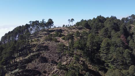 La-Antena-Asciende-Por-Un-Bosque-Escarpado-En-La-Ladera-De-Una-Montaña-Volcánica-En-Guatemala