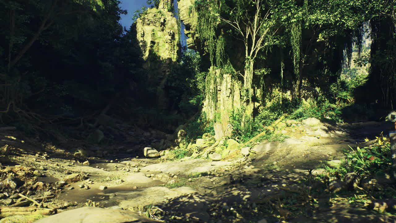 Lush green forest with rocky cliffs in bright sunlight during daytime