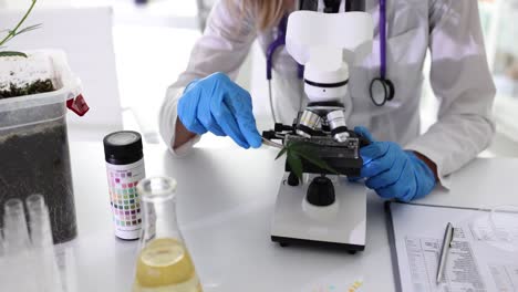 a scientist examining a cannabis leaf with a microscope in a laboratory