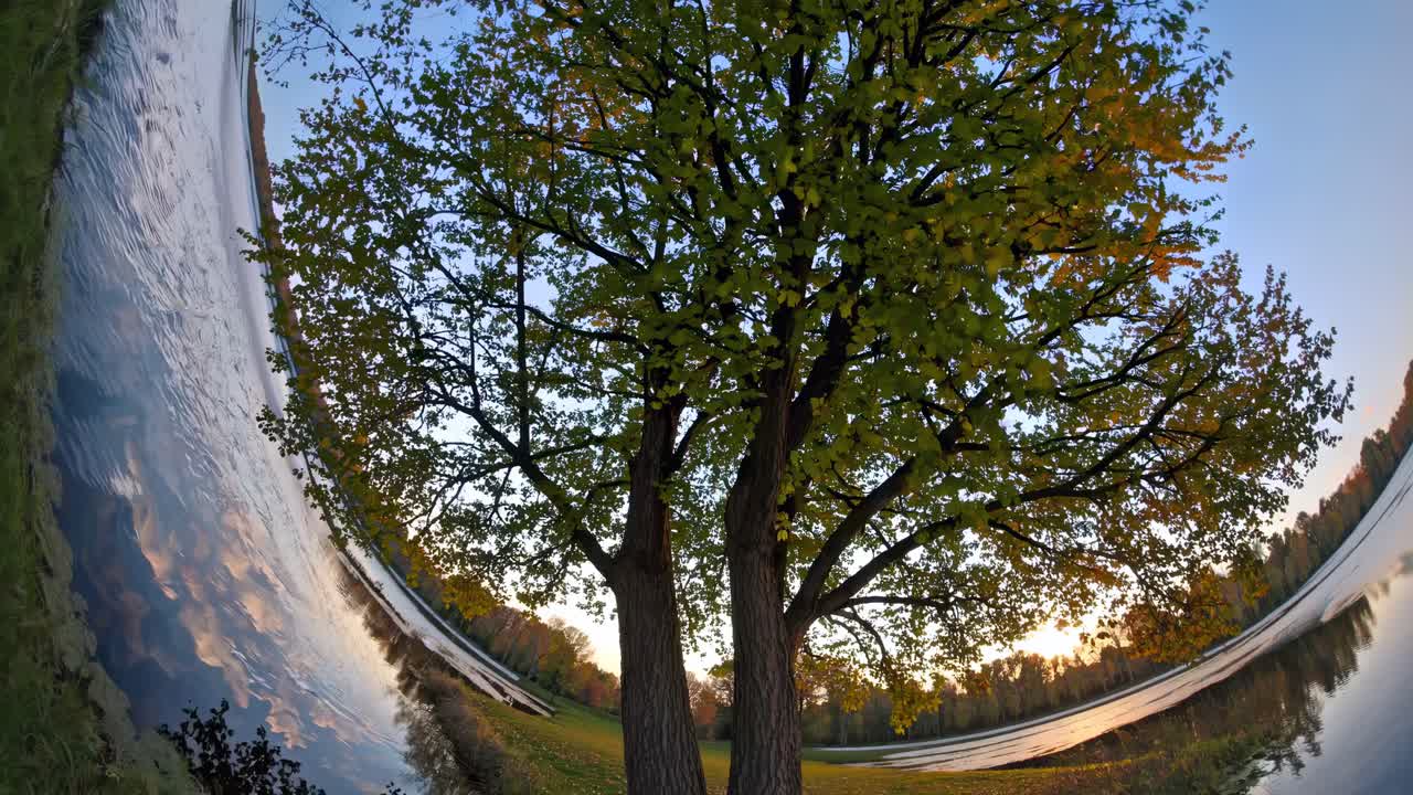 A fisheye lens captures a surreal landscape with a tree by a lake, creating a curved horizon effect