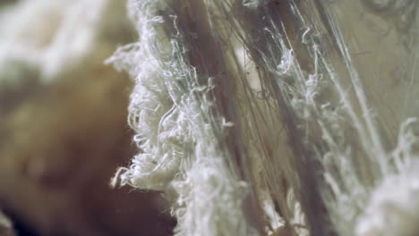 image-of-raw-cotton.-slow-motion