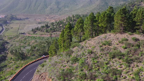 A-view-of-a-car-driving-on-a-high-quality-mountain-highway-winding-its-way-around-a-hill-in-a-mountainous-region-with-coniferous-forests-and-bushes-in-the-Canary-islands,-Spain,-aerial-moving-4k-shot