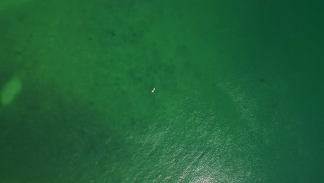 chica en una tabla de surf blanca relajándose en las aguas cristalinas paradisíacas